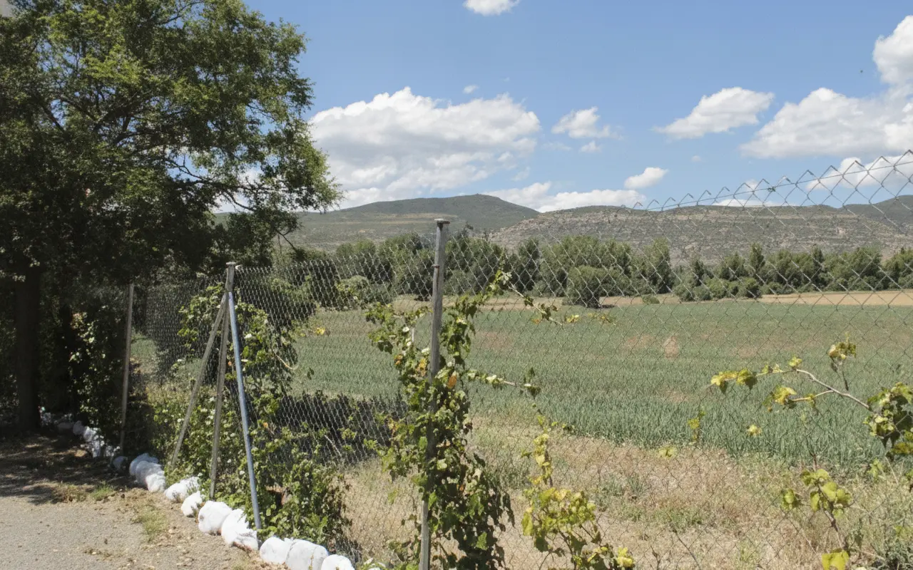 Camino de acceso junto a la valla, con campos verdes y montes al fondo