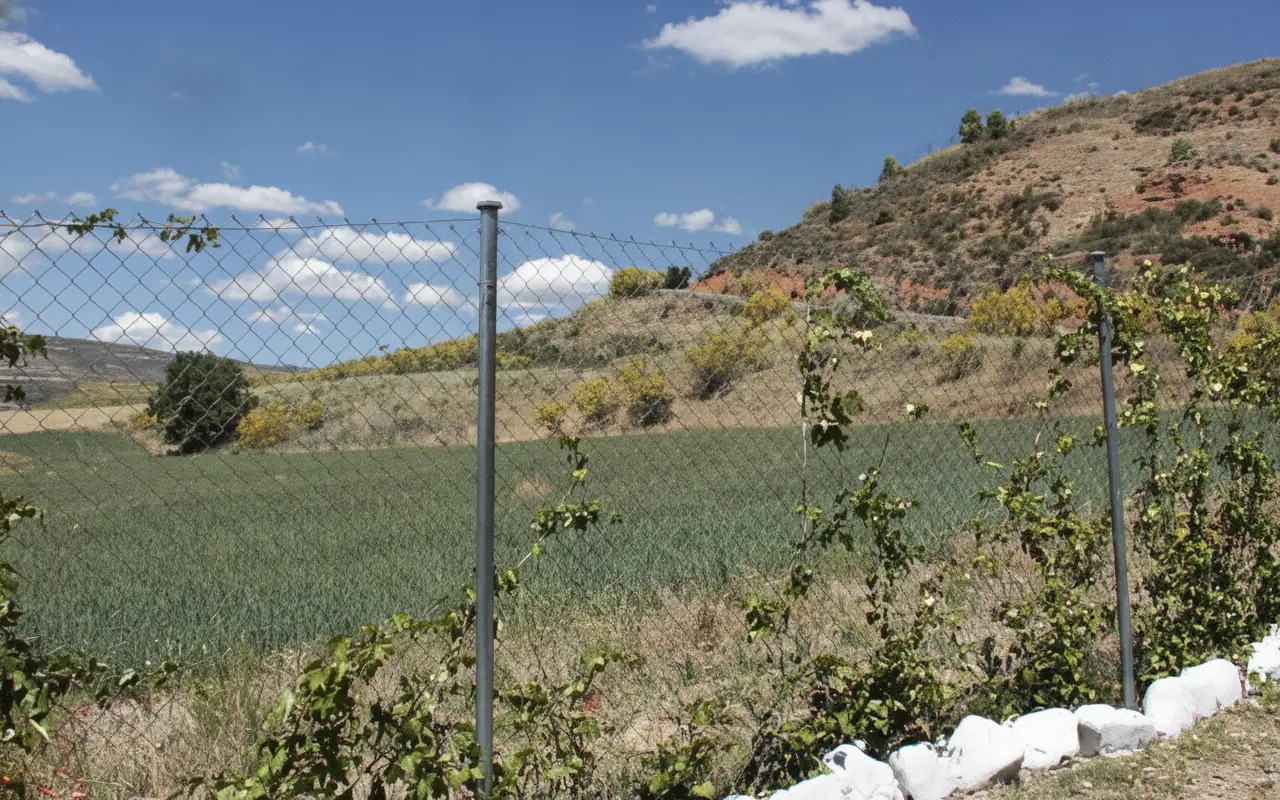 Vista de la ladera y los campos desde la valla del recinto