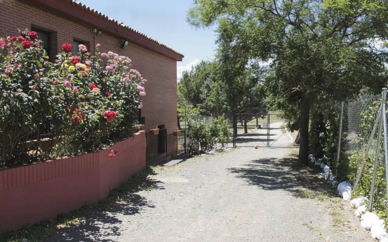 Camino interior del recinto con rosales y árboles a los lados