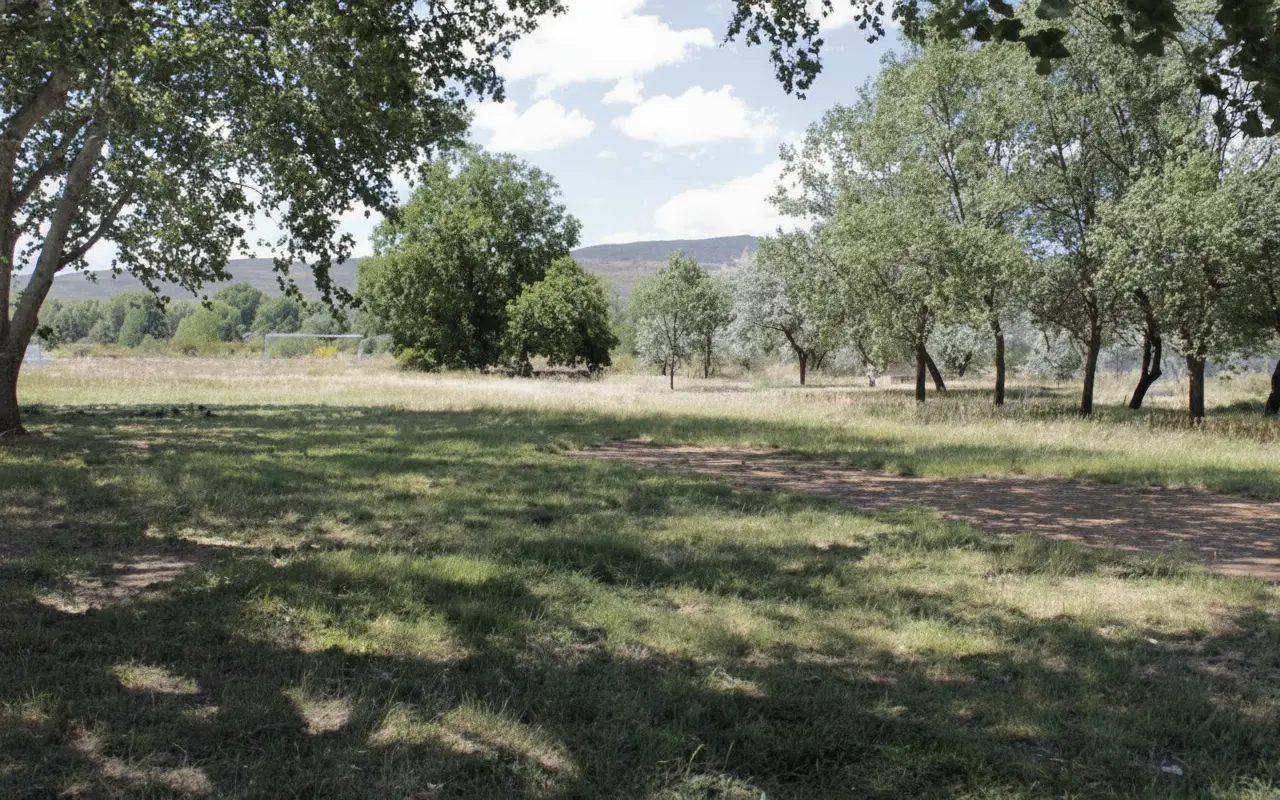 Pradera con árboles junto al albergue y montes al fondo