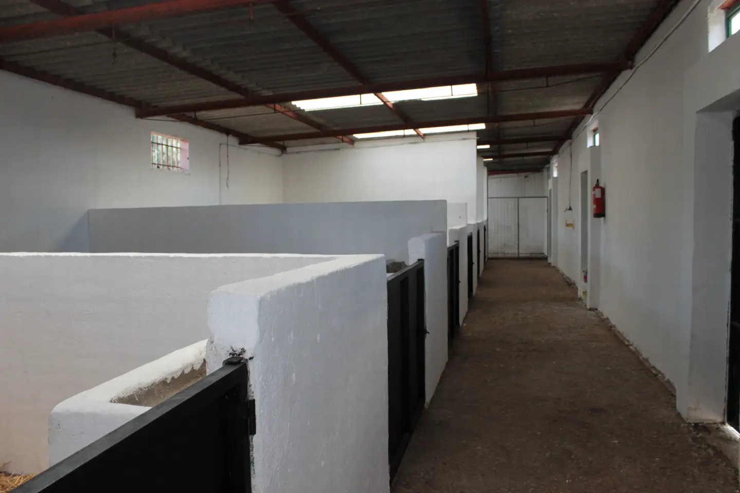 Pasillo de las cuadras con boxes encalados
