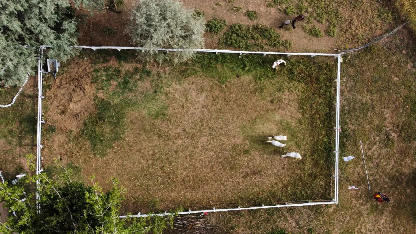 Vista aérea del cercado de los caballos y ponis, con la valla blanca